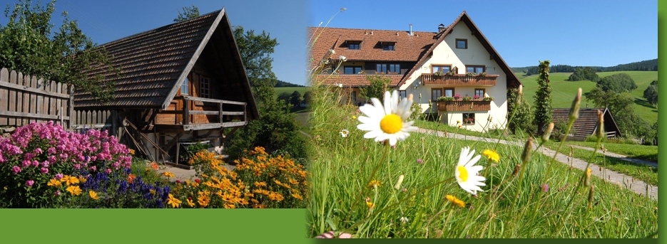 Ferien auf dem Jockenhof